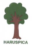 HARUSPICA, šeimos ir netradicinės medicinos klinika, UAB logotipas